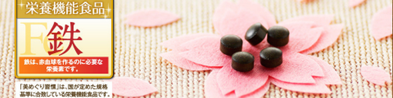 ���߂���K�� �߂܂���������ݓS���s���������������̐V�����S���⋋�T�v�����T�C�g